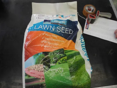 Seed