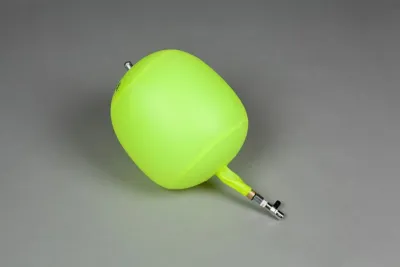 Bladder