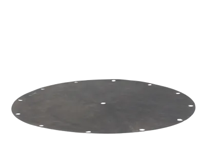 Diaphragm