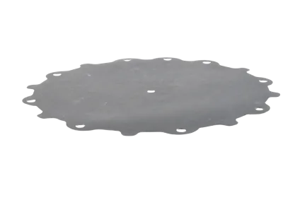 Diaphragm