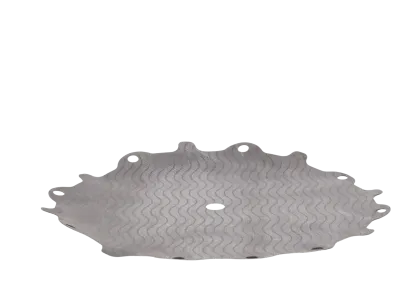 Diaphragm