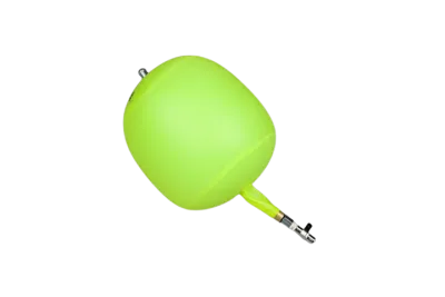 Bladder